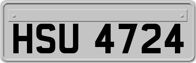 HSU4724