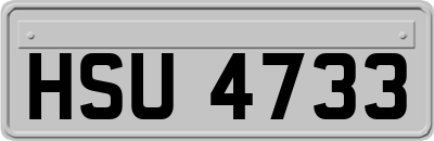 HSU4733