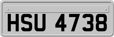 HSU4738