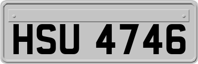 HSU4746