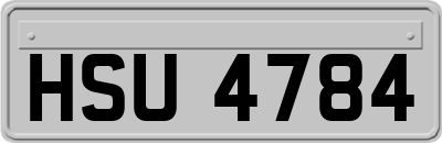 HSU4784