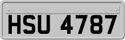 HSU4787