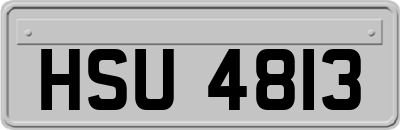 HSU4813