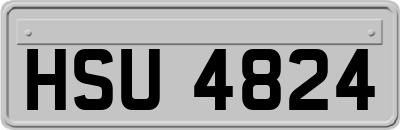 HSU4824