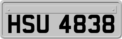 HSU4838