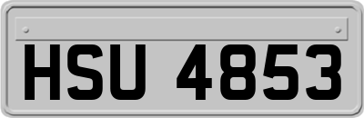 HSU4853