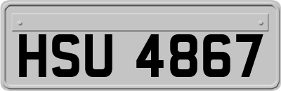 HSU4867