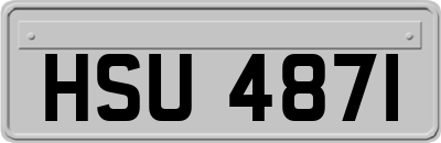HSU4871