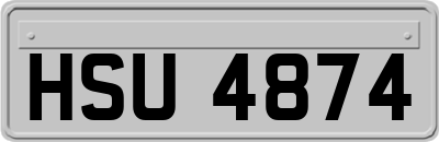 HSU4874