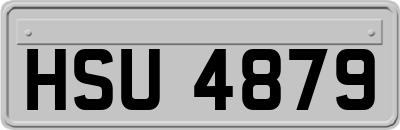 HSU4879