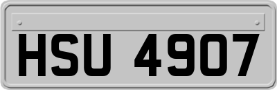 HSU4907
