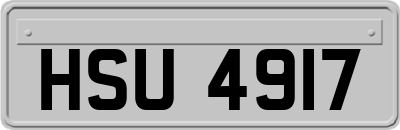HSU4917
