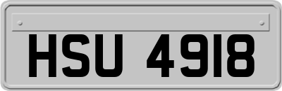 HSU4918