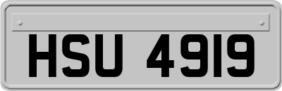 HSU4919