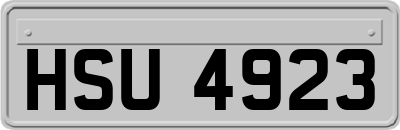HSU4923