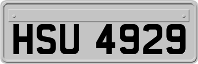 HSU4929