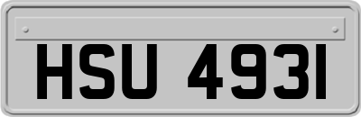 HSU4931