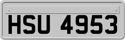 HSU4953