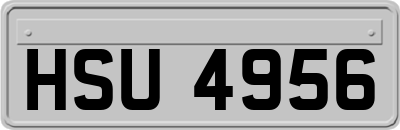 HSU4956