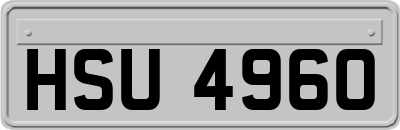 HSU4960