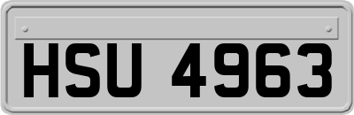 HSU4963