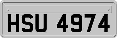 HSU4974