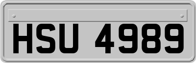 HSU4989