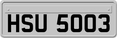 HSU5003