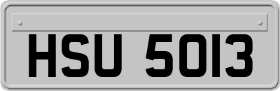 HSU5013