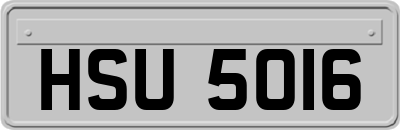 HSU5016