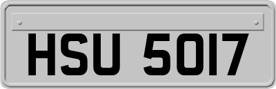 HSU5017