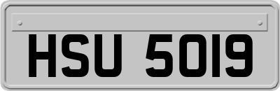 HSU5019