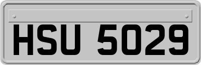 HSU5029