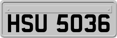 HSU5036
