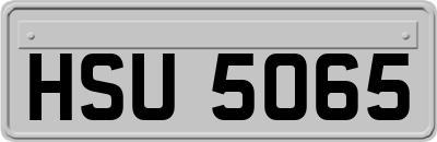 HSU5065