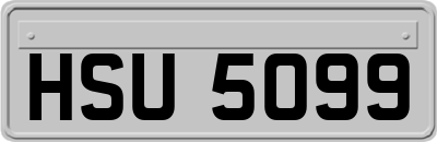 HSU5099