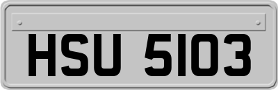 HSU5103