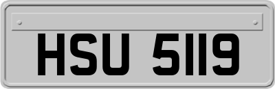 HSU5119