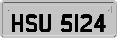 HSU5124