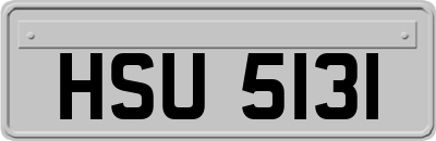 HSU5131