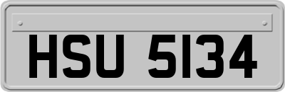 HSU5134