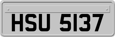 HSU5137