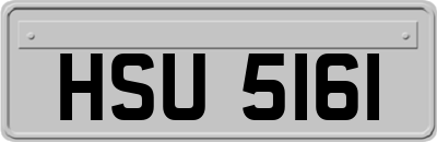 HSU5161