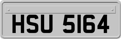 HSU5164