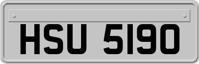 HSU5190