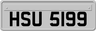 HSU5199