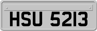 HSU5213
