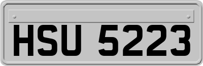 HSU5223