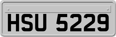 HSU5229