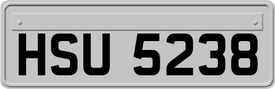 HSU5238